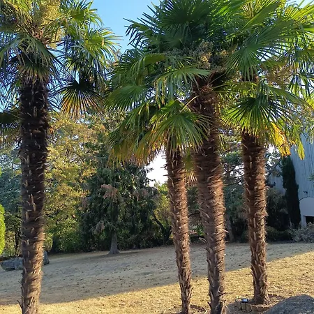 Chateau La Pierre Levee, Le Logis-15 Minutes Du Puydufou דירה La Gaubretiere